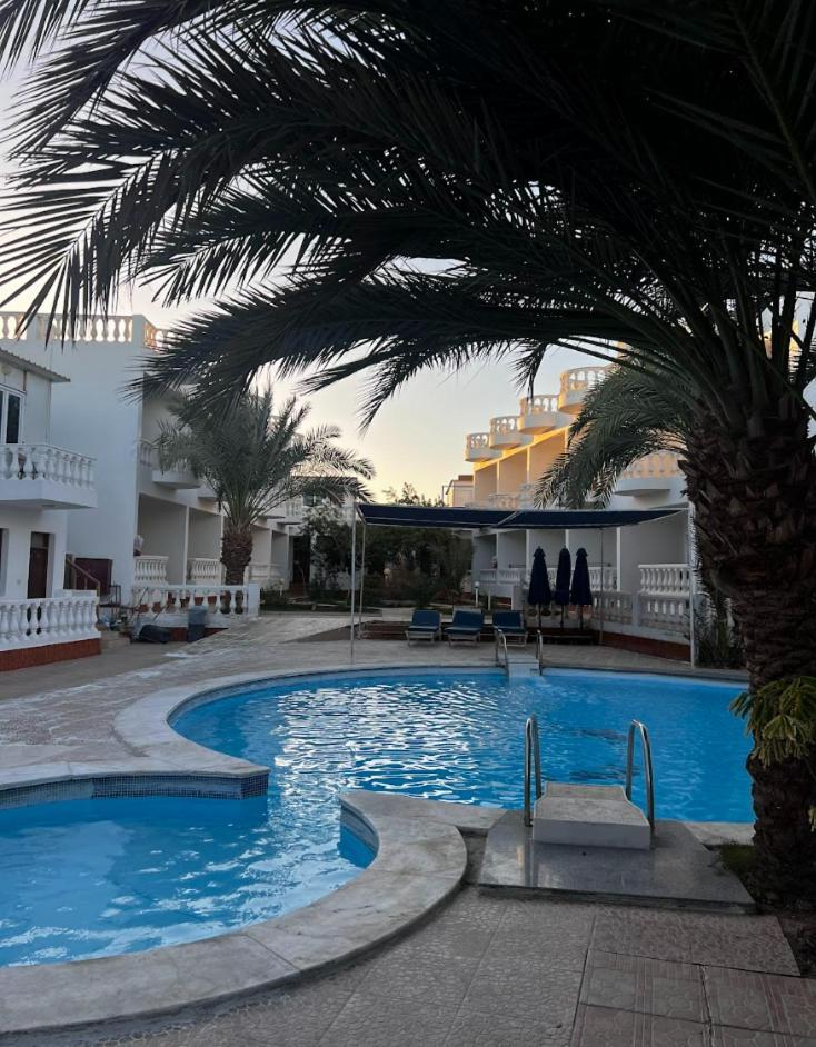 Octopus Hotel Dahab Exterior photo